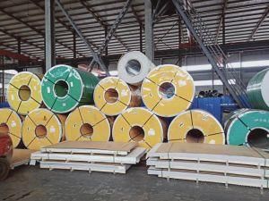 AISI 410s Cold/Hot Rolled Galvanized 2b/Ba Stainless Steel Coil for Chemical Industry