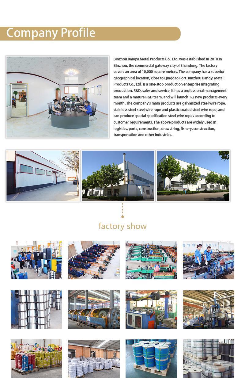 1960MPa Galvanized Steel Wire Rope for General Purpose