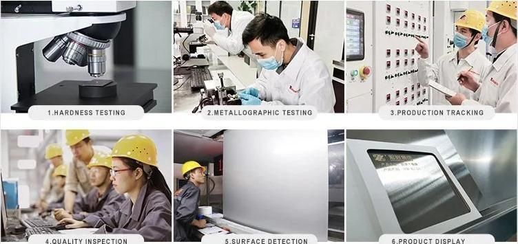 Best Quality Galvanized Angle Iron Perforated Equal or Unequal Can Be Customized Angle Steel From China