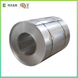 Hot Rolled Steel Coil/Sheet/Plate Galvanized with Low Price