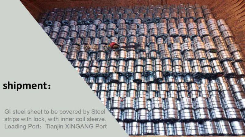 Pre-Painted Coated Steel PPGI Sheet/Coil