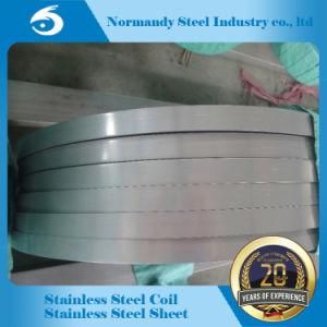 Hot Rolled Stainless Steel Coil (304/310/316/321)