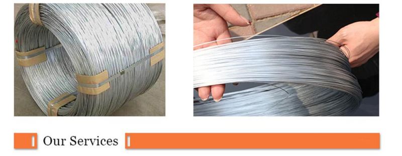 Galvanized Steel Wire Low Carbon and High Carbon Steel Wire Binding Wire