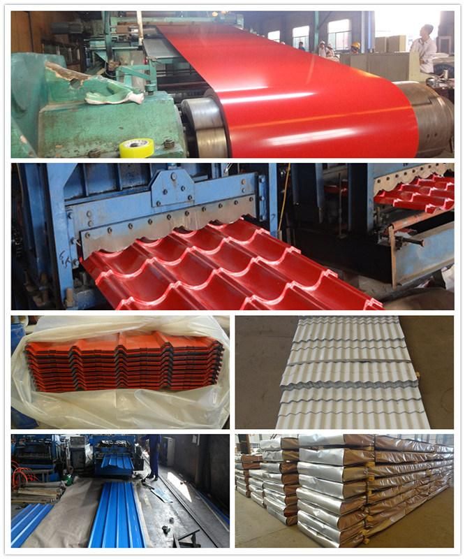 Color Coated Coil/ PPGI for Building