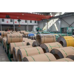 Excellent Quality Stainless Steel Coil (201 304 321 316 316L 310S 904L 2205) for Building Material