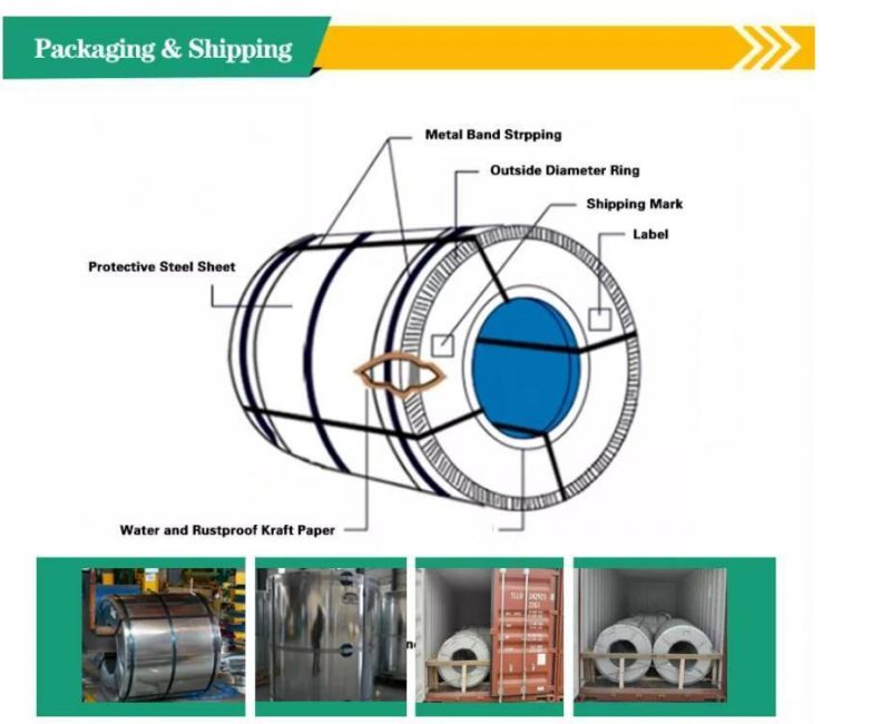 Prepainted Gi Steel Coil / PPGI / PPGL Color Coated Galvanized Corrugated Sheet in Coil