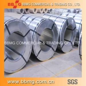 Dx51d Grade Z50 0.45mm PPGI Prepainted Galvanized Steel Coil