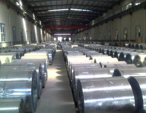 Best Price Flower PPGI Prepainted Galvanized Steel Coil