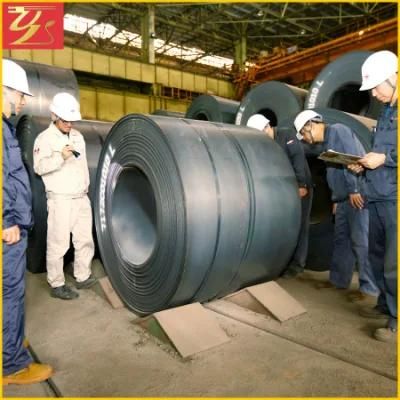 Ss400 Q235B A36 2.5*1250*C Hot Rolled Steel Coil