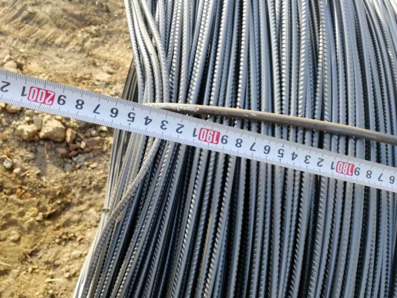 Cold Drawing 5.2mm 5.3mm 5.5mm Rebar Deformed Bar in Coil