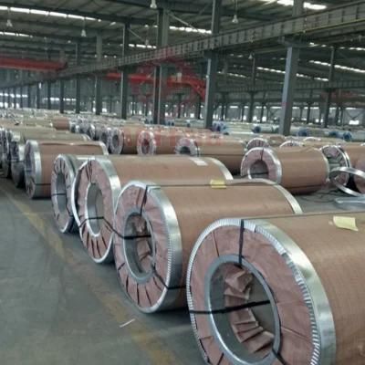Ral Color Coated Steel Coil Painted Dx51d Galvanzied Steel Coils