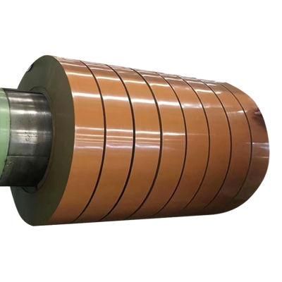 Steel Pricing The Pre Painted Galvanized Steel Strips /PPGI Slit Roll Coils