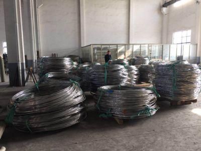 AISI 316 Stainless Steel Coil Tubing