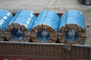 304 High Quality Stainless Steel Slit Coil with Ce RoHS SGS