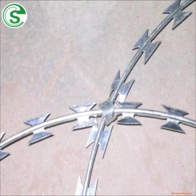 Factory Price Stainless Steel Barbed Wire Roll Fence for Border/ Fence Wall
