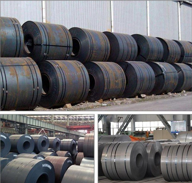 ASTM A36, Ss400, S235, S355, St37 Hot Rolled Ms Mild Carbon Steel Coil