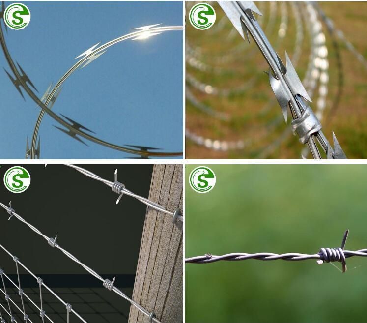 China Factory Price Galvanized Steel High Strength Security Razor Barbed Wire