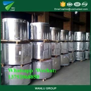 JIS G3302 Dx51d Hot DIP Galvanized Steel Strips/ Q235