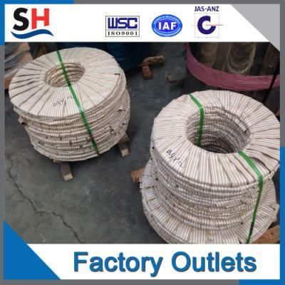 Hot/Cold Rolled 304 316L 310S 321 Stainless Steel Sheet Coil Strip Plate with 2b/Ba/No. 1/No. 4/Hl/8K Mirror Surface Finish