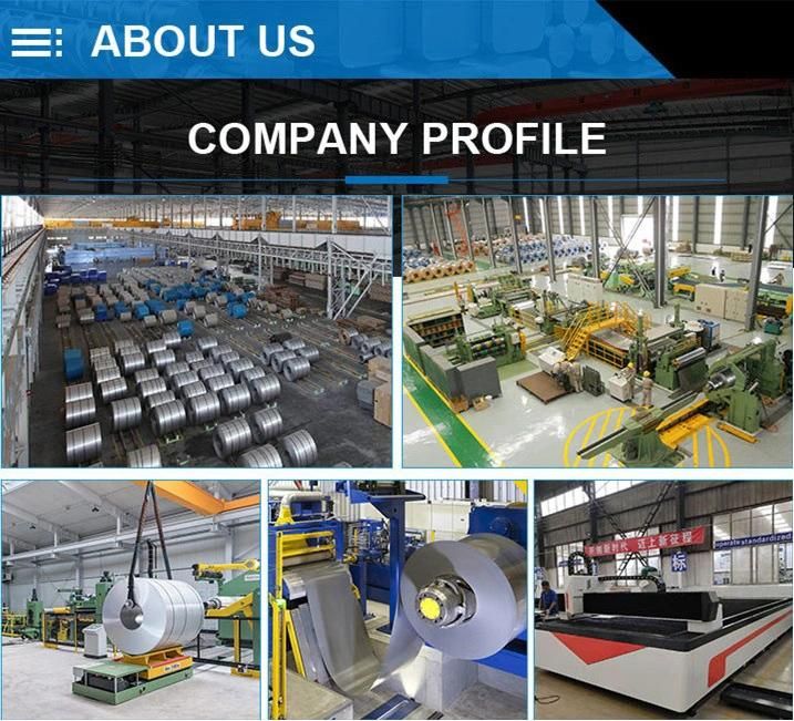 Gi PPGI High Quality Galvanized Coil Steel 0.25mm Galvanized Steel Coil China Price