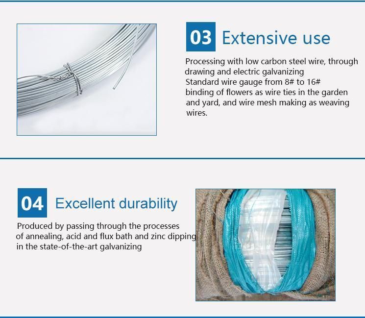 Hot Sale Gi Binding Wire 1.9mm Iron Wire Galvanized Iron Wire with Low Price