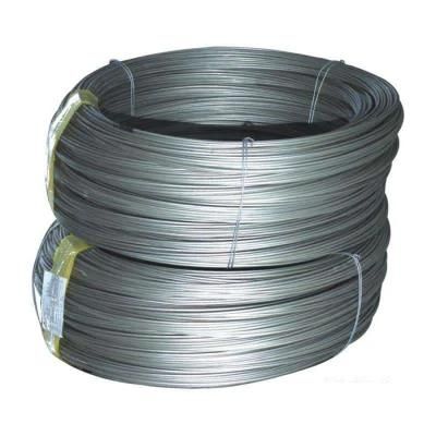 304 0.1mm Half Hard Food Grade Stainless Steel Wire