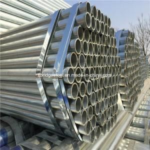 Q235 Material 48.3mm Scaffolding Galvanized Ms Steel Pipe Price