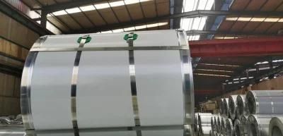 Building Material Galvanized Steel Coil PPGI