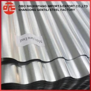 Galvanized Steel Coil, Best Quality Cold Rolled Galvanized Steel, Gi/PPGI/PPGL Coils and Plate