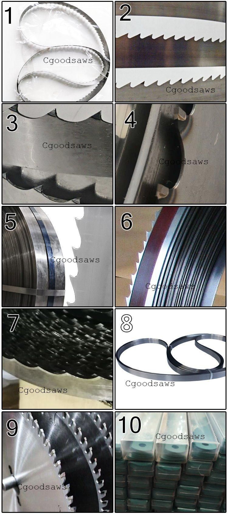 Spring Steel Strips SAE 1095 for Spare Parts and Accessories