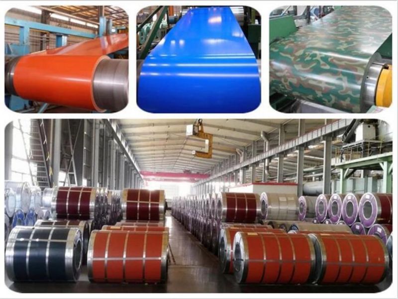 SGCC 0.12-4.0mm Thickness Aluzinc Coated Ral Color Coated PPGI PPGL Pre-Painted Galvanized Galvalume Steel Coil for Roofing Sheet