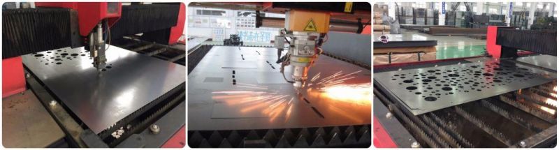 Laser Cutting Corten Steel Plate for Garden Decoration