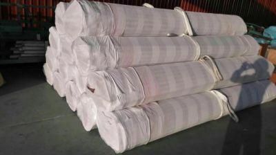 ASME B36 19 Pipe