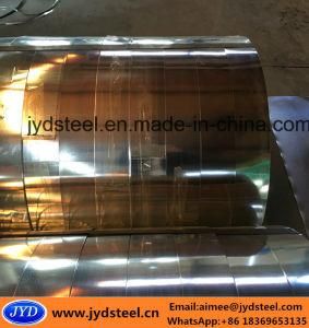 Galvanized Steel Coils/Strips