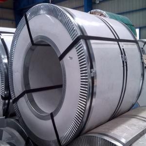 Premium Quality Stainless Steel Coil (304, 316)