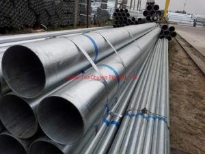Tianchuang En10255 S195 Hot Dipped Galvanized Steel Pipe