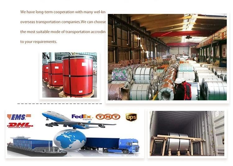 PPGI/HDG/Gi/Secc Dx51 Zinc Cold Rolled/Hot Dipped Galvanized Steel Coil/Sheet/Plate/Strip