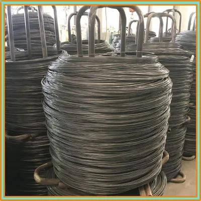 Low Price ASTM B498 High Carbon Steel Wire