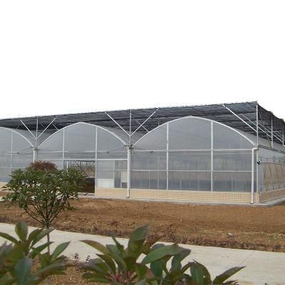 Widely Popular Garden &amp; Vegetable Greenhouse Frame, PE Film, Galvanized Steel Pipe Frame