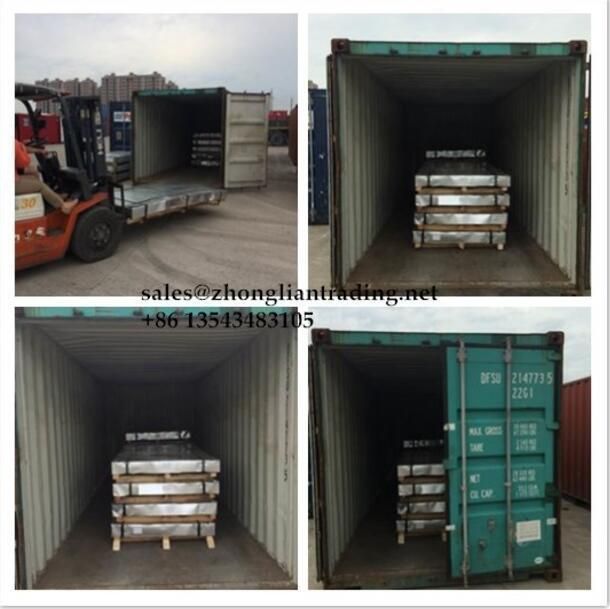Galvalume Steel in Coil in Competitive Price