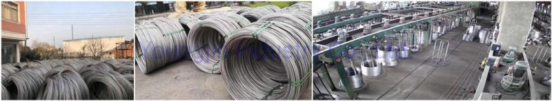 201 304 308 309 310 316 410 420 430 904L Stainless Steel Wire (Spring wire, Welded Wire)