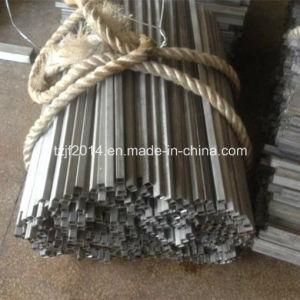 ASTM/SUS/En Seamless Stainless Steel Rectangular Pipe