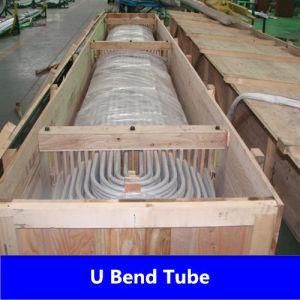 U Bend Tube Stainless Steel