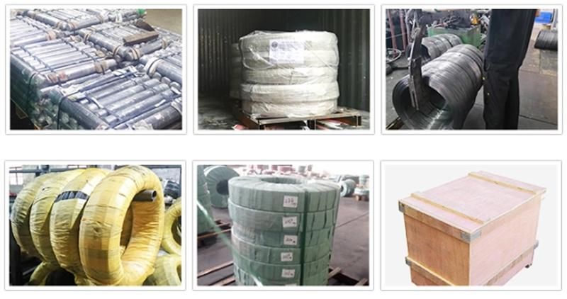 Wholesale Hot Dipped High Carbon Steel Wire