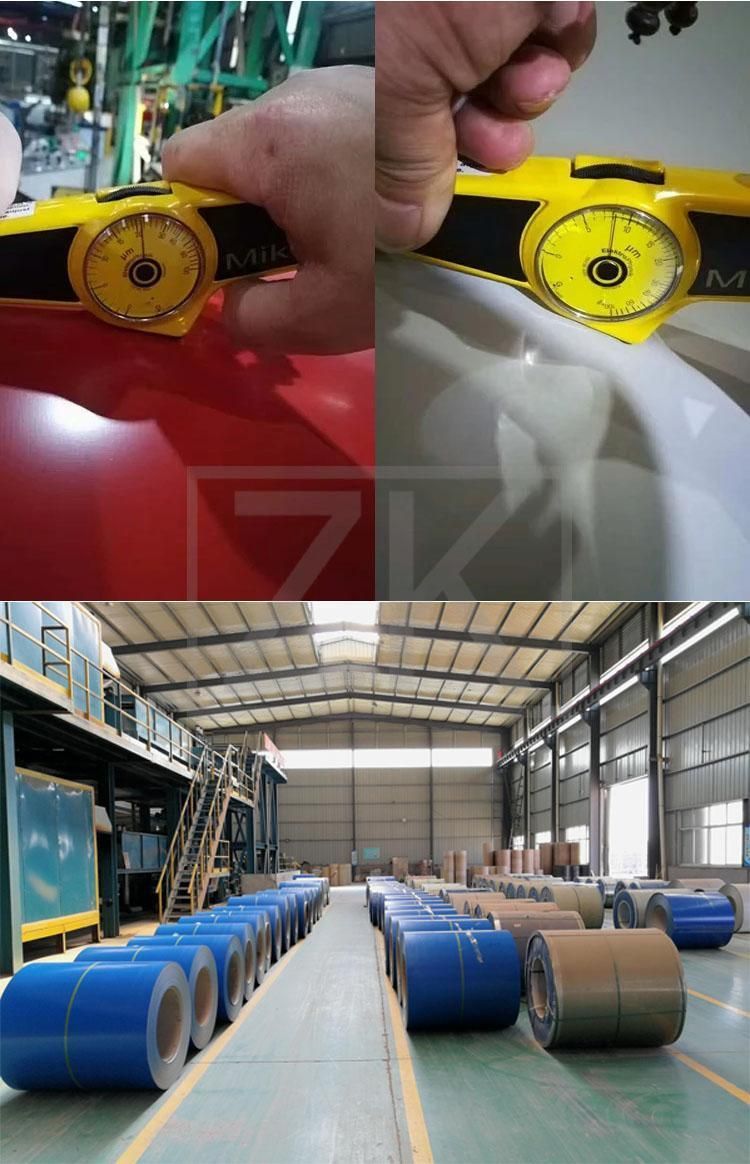 Ga/Gp/Gi/Gl/CRC/Hr/PPGI/PPGL Galvanized Steel Iron Sheet Coil Roll