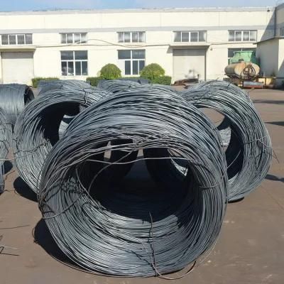 High Quality Stainless Metal Umbrella Steel Wire with Ce Certification