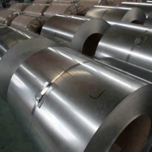 Zinc Coating 40g to 275g Galvanized Steel Coil