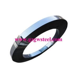 65mn Spring Steel Strips Harden and Temper Flexible Thin Flat Metal Strips
