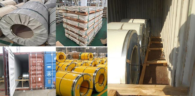 Building Material Tisco Ss Coil 316 DIN17400/14307 Stainless Steel Coil