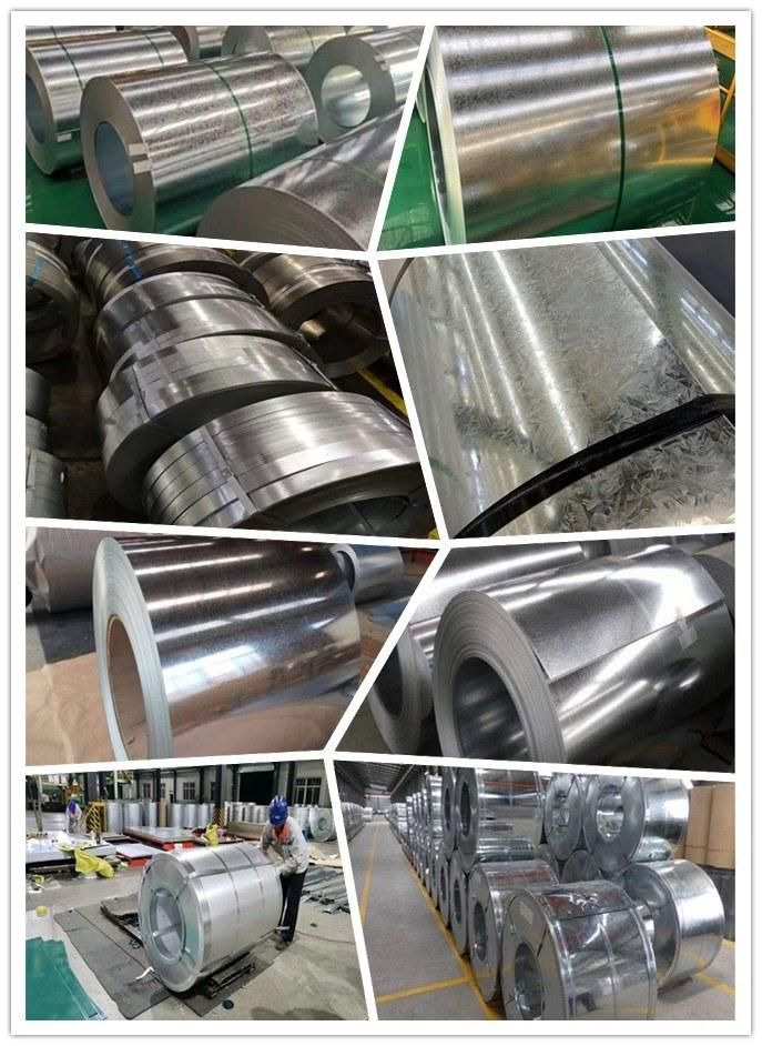 SGCC Grade Steel Coil/Gi/Gl/Galvanized/Zinc Coated/Galvalume/Steel Coil
